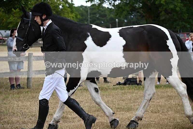 WJ6_8224 - Class 10 Coloured in Hand