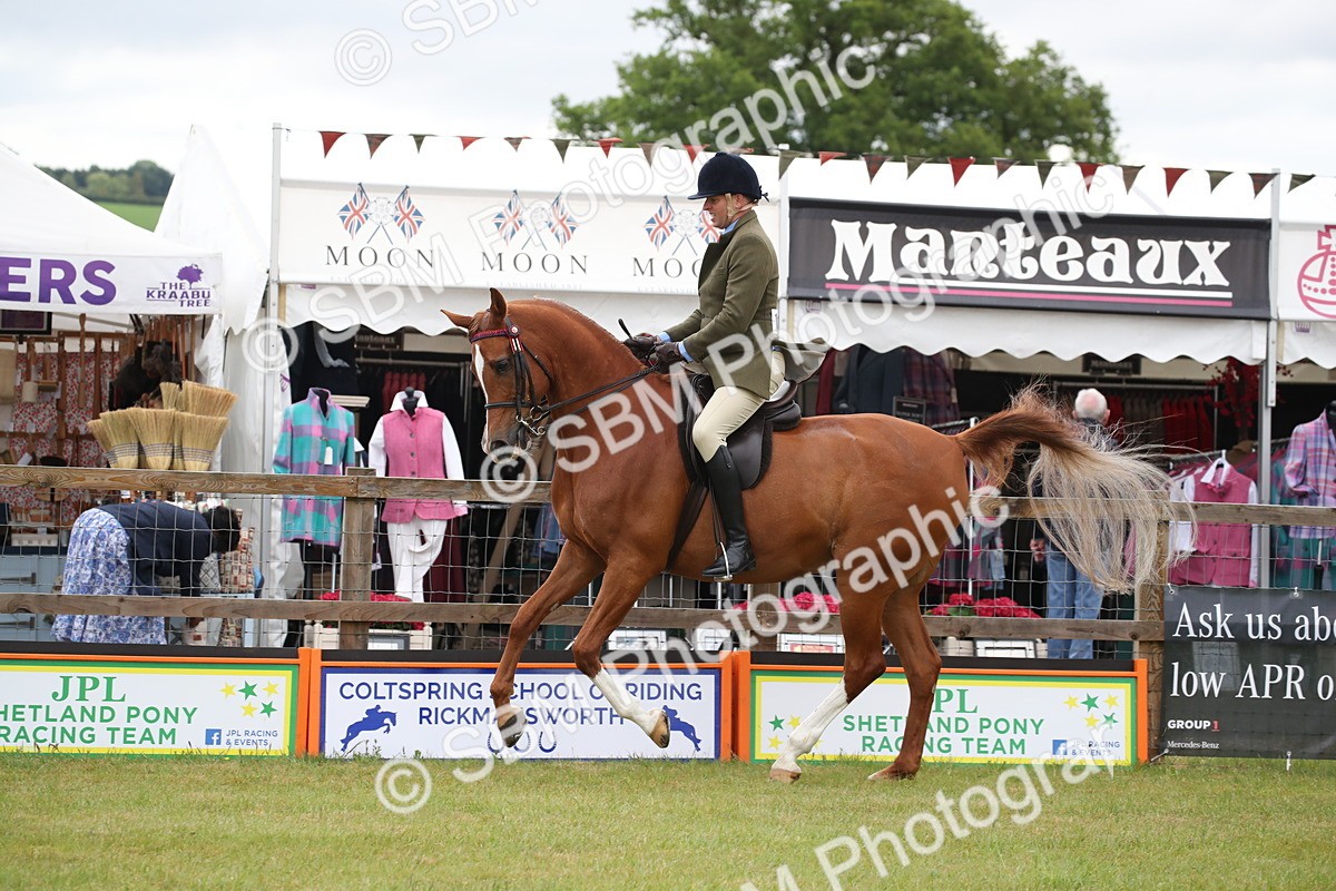 SBM_03634 - Class 21 - 22 - Ridden Arab and Part Bred/Anglo Arab