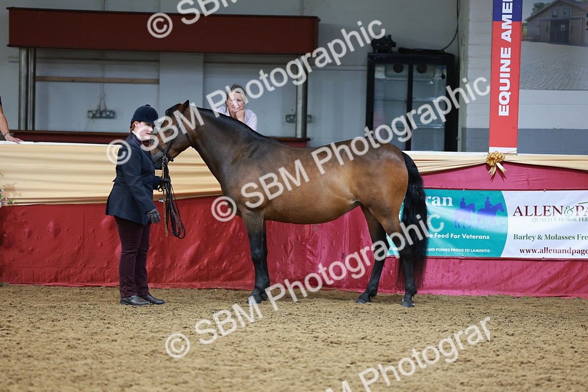 SBM_17350 - Class 951 - M&M IH Supreme Final