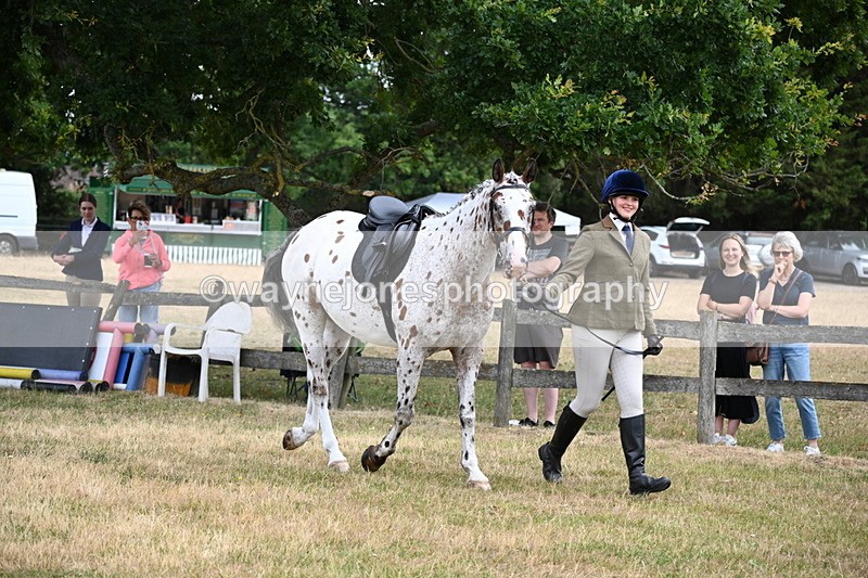 WJ6_3847 - Class 9 Tack & Turnout