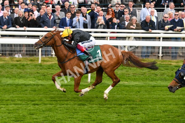yr13052022r4-50 - Race 4 3.35pm The Paddy Power Yorkshire Cup (British Champions Series Race)