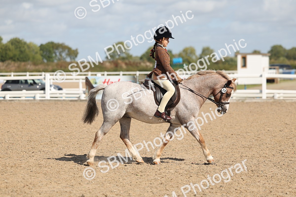 SBM_23113 - Class 806 - Young Rider 10ry and Under