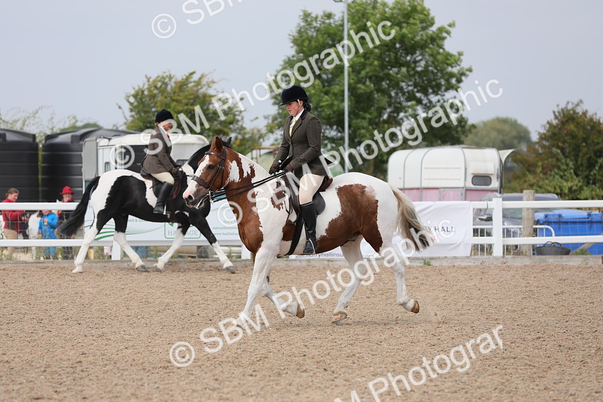 SBM_13358 - Class 308 Ridden Coloured Horse
