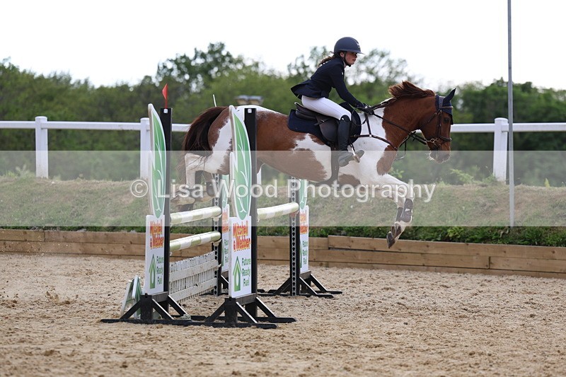 3E7A8555 - Class 14: Pony Newcomers/1m open