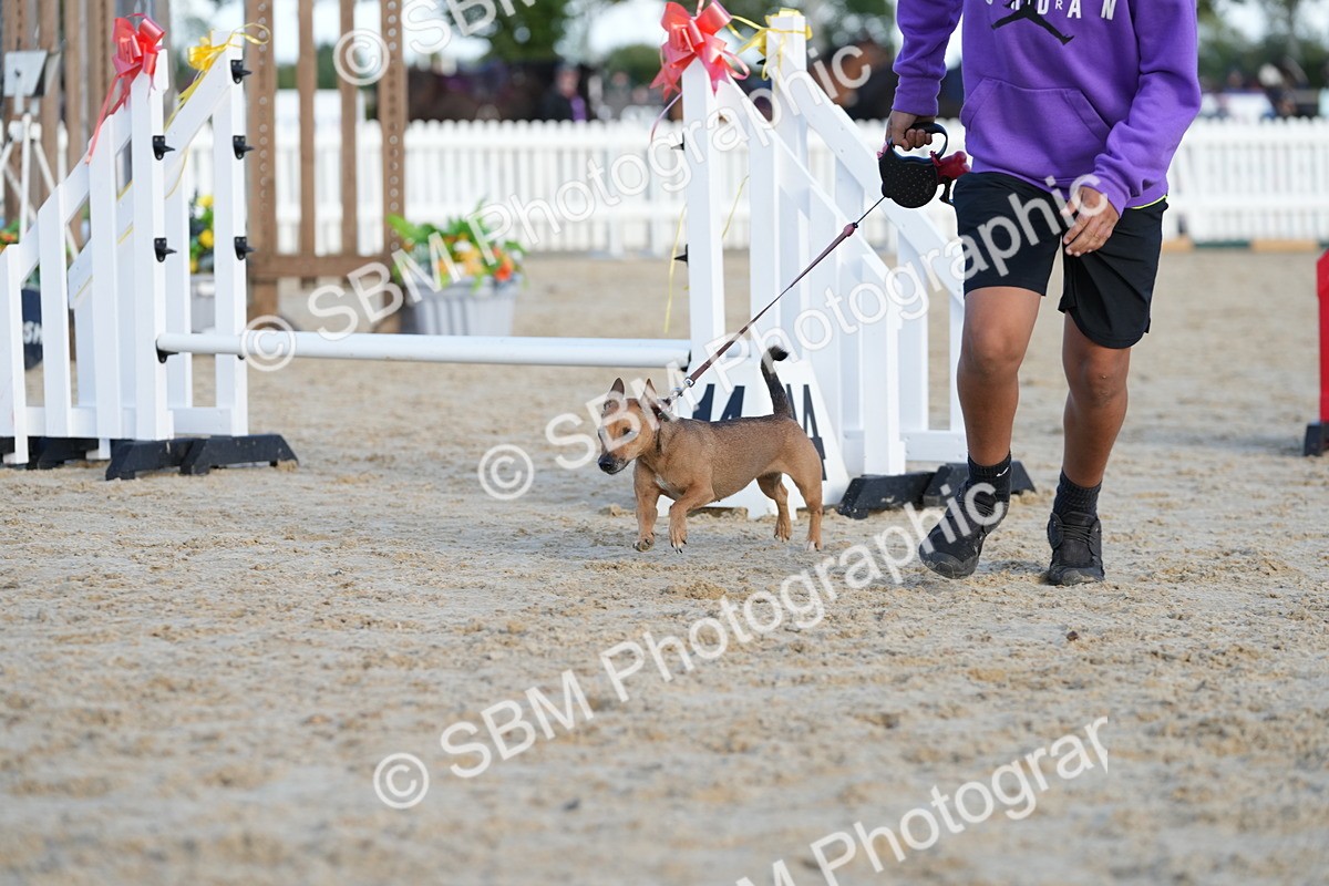 SBM_29087 - J43 - Horse & Hound Open 50cm