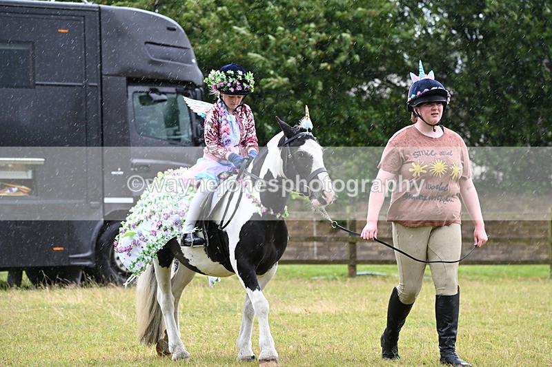 WJ6_9099 - Class 11 Fancy Dress