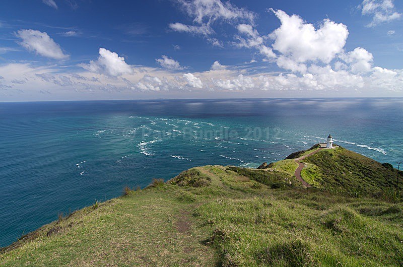Cape Reinga oceans meet - New Zealand North Island