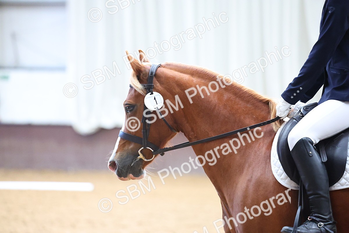 SBM_004139 - Class 1 - Intro 2-3