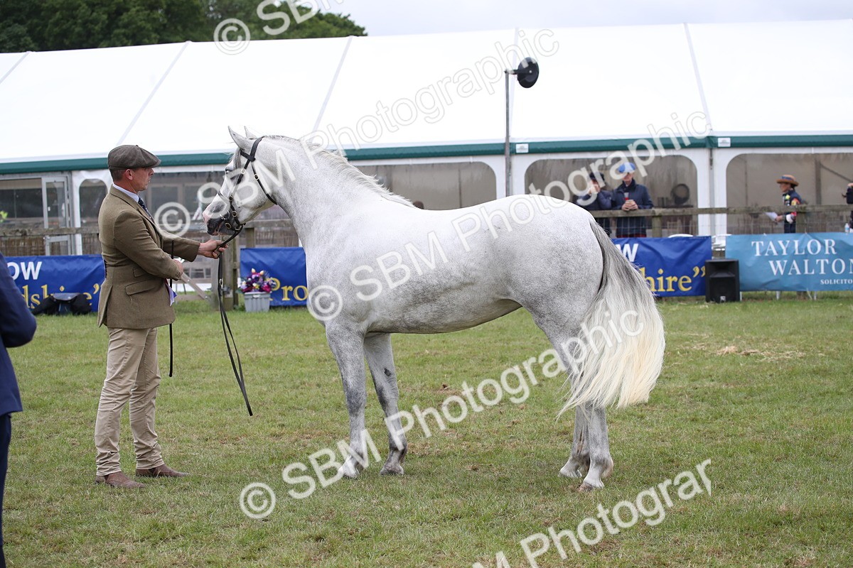 SBM_09848 - Ch 50 - Price Family Supreme In Hand