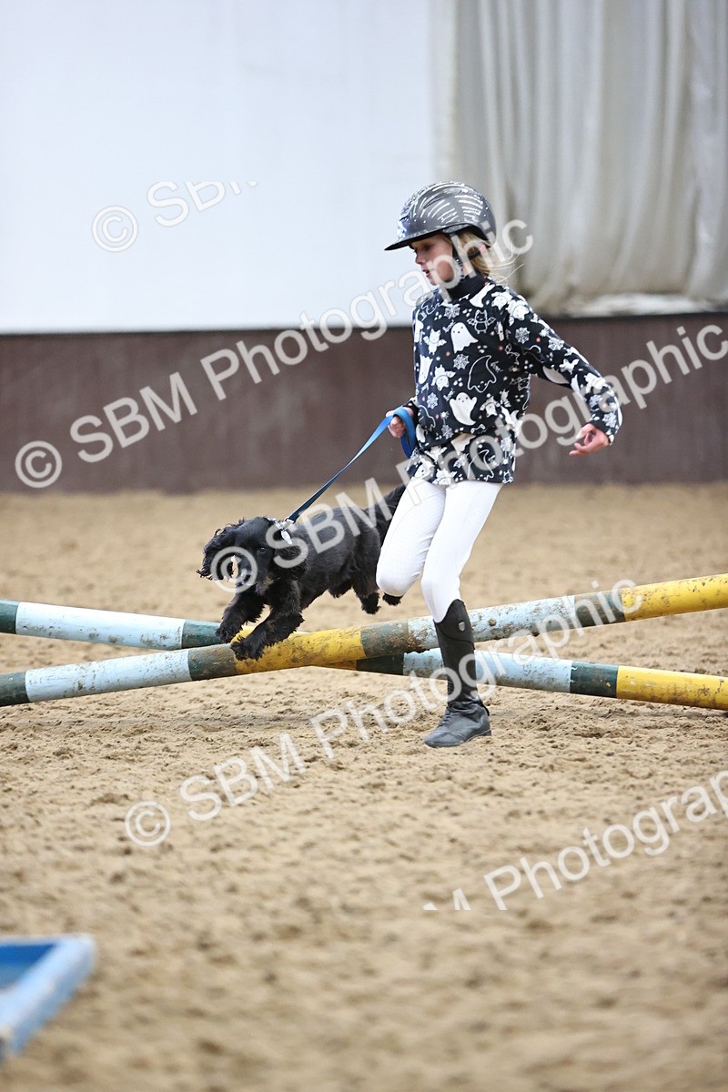SBM_001556 - Class 3 - Horse & Hound 60cm