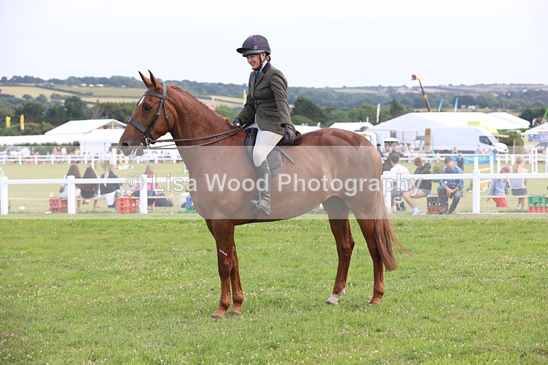 JPP_4536 - Class 26: Working Hunter 1m