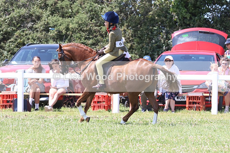 JPP_2748 - Class 21: Working Hunter 60cm