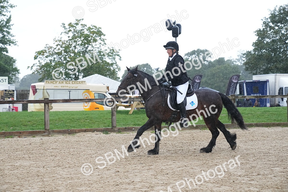 SBM_01645 - J54 - Clear Round 50cm