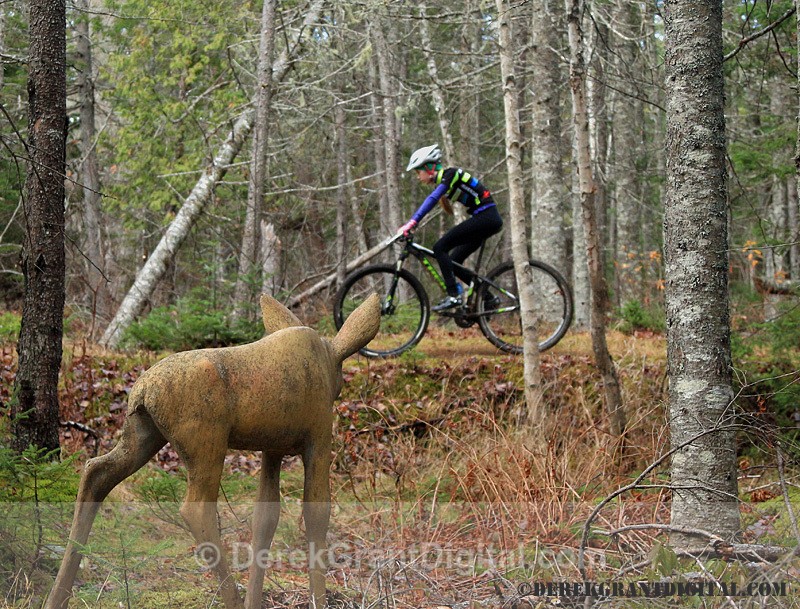 Animaland Cyclo Cross Weekend Sussex New Brunswick Canada - Sport & Recreation