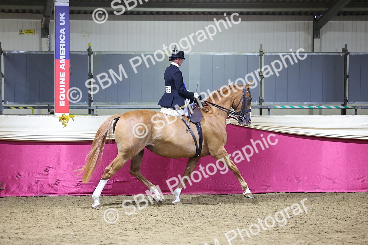 0B8A4263 - Class L Side Saddle Champ