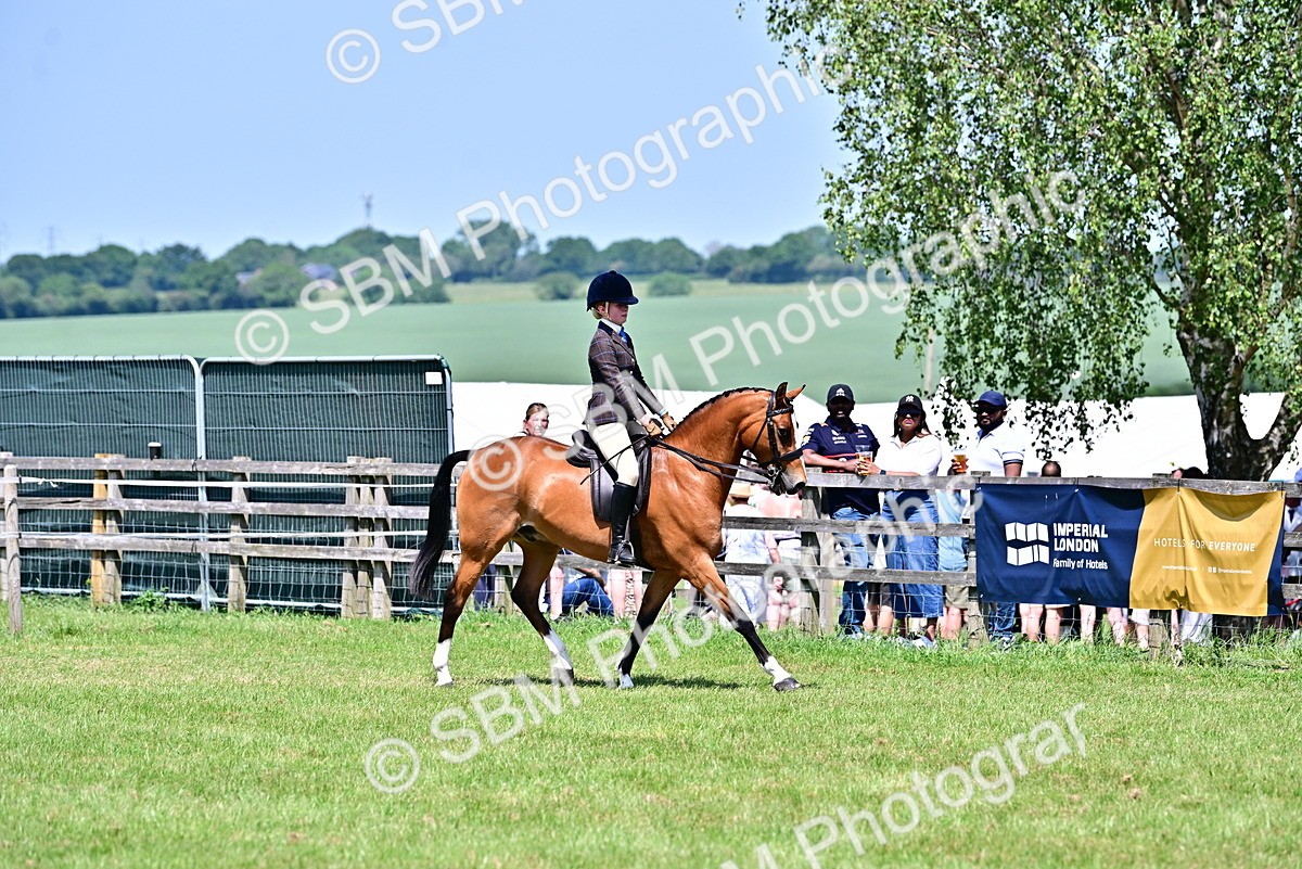 SBM_17422 - Class 95-97 - BSPS LHS Performance Ponies