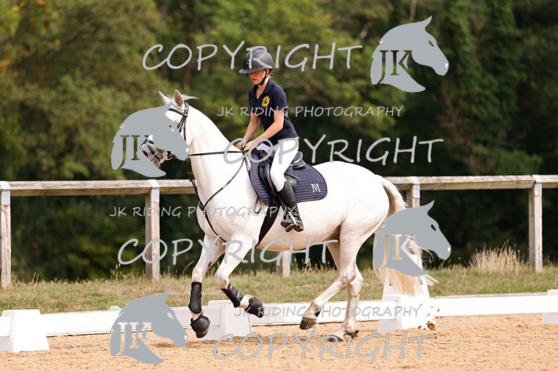 _R6A2438 - Dressage Morning