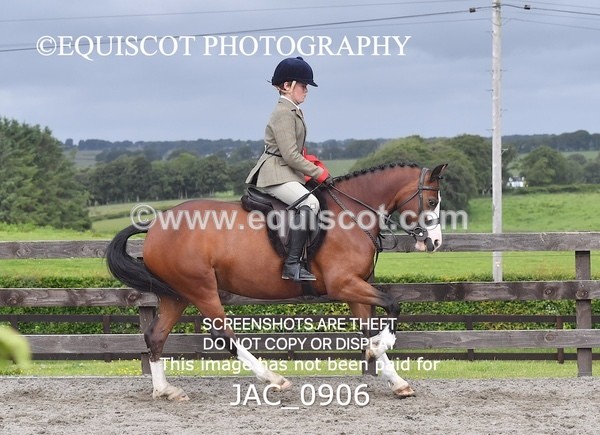 JAC_0906 - CHAMPIONSHIPS AND SUPREME