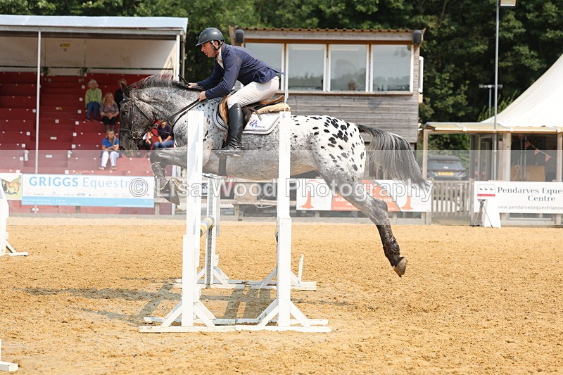 3E7A1658 - Class 4: Senior British Novice/90cm open