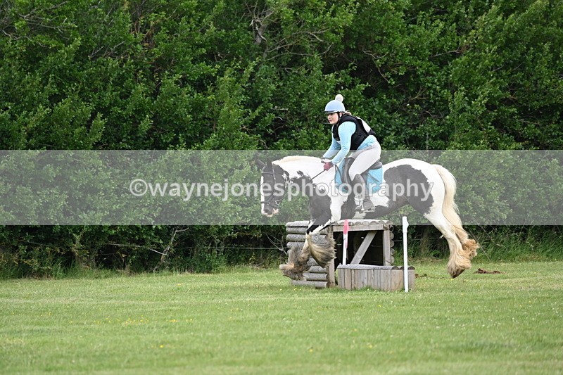 WJ6_2405 - Class 2 40cm