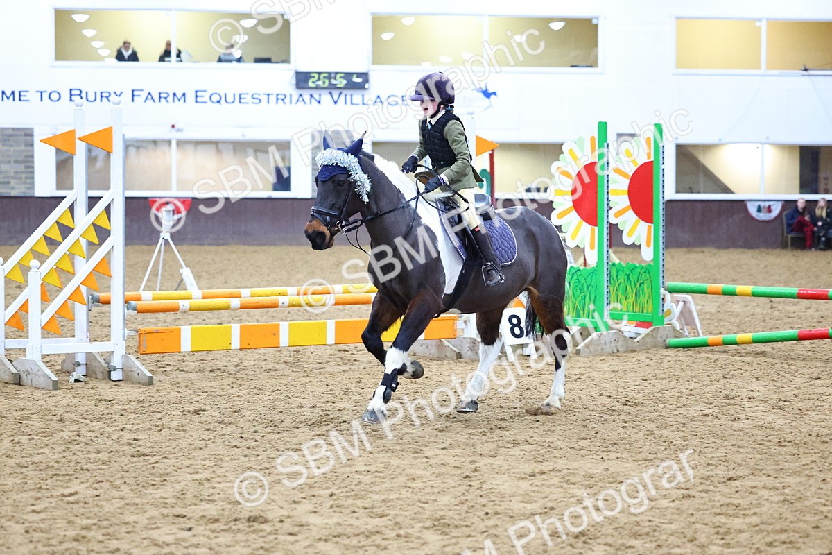 SBM_001467 - Class 3 - Christmas Tree Stakes - 60cm