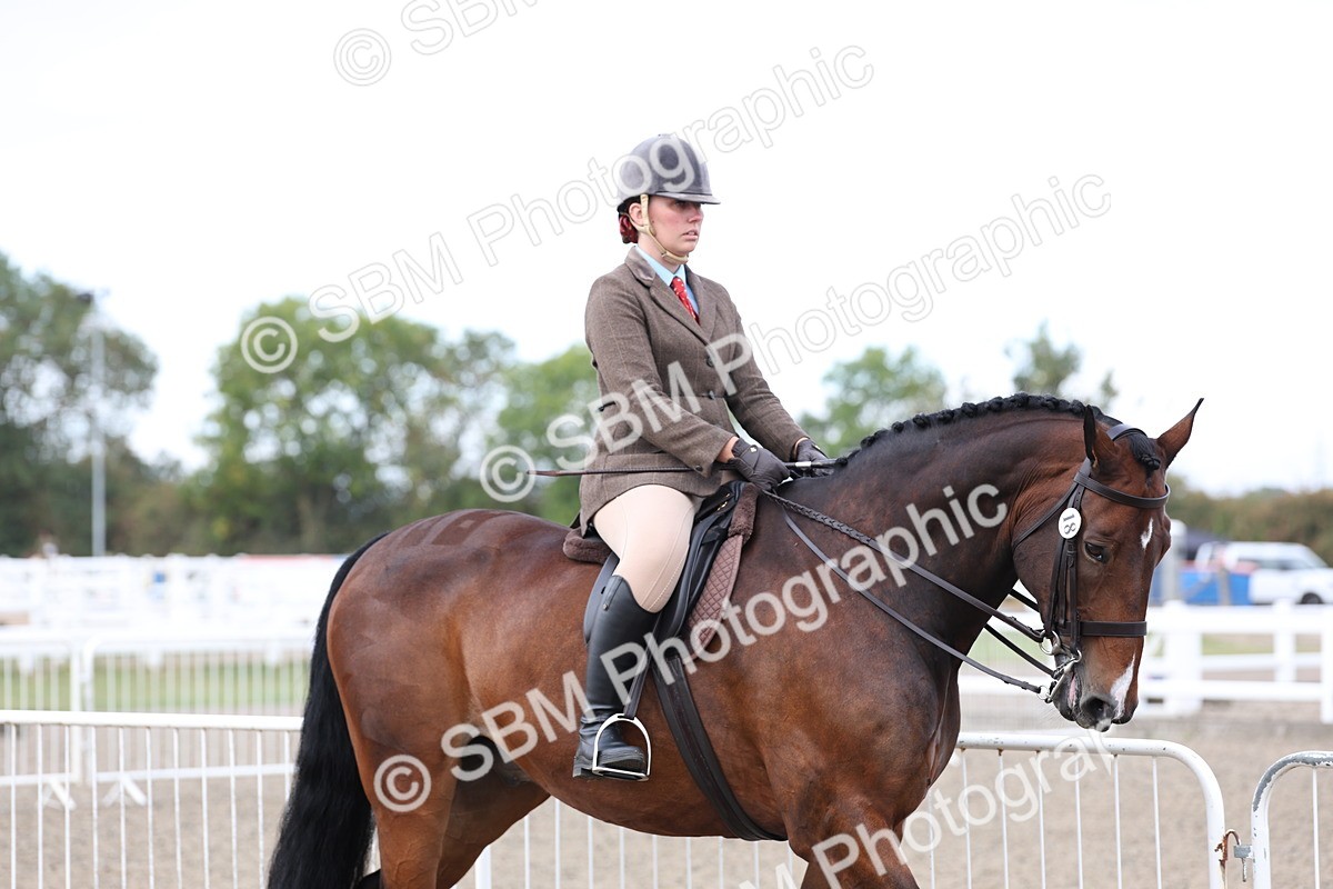 SBM_01457 - Class 52 - Ridden Veteran