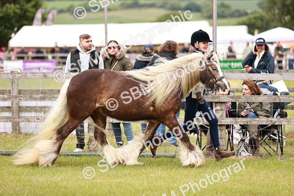 SBM_06031 - Class 39-41 TGCA In Hand and Ridden