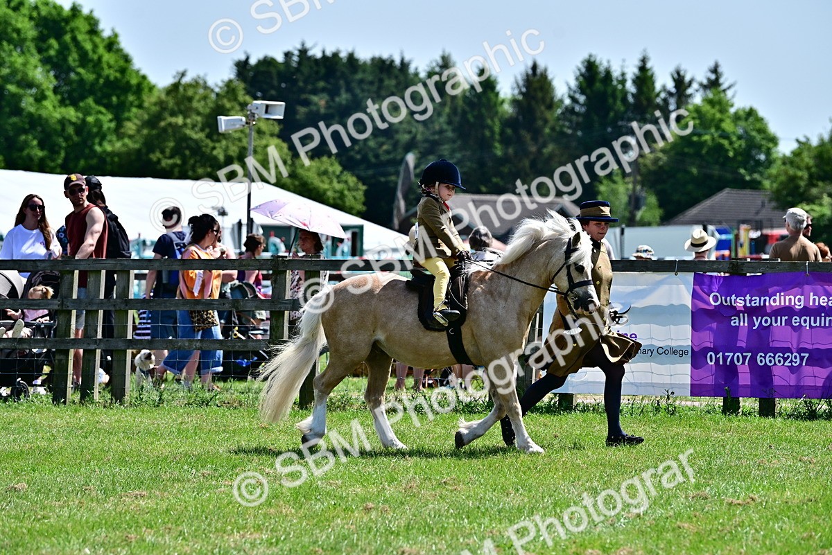 SBM_05786 - Class 59-60 - TSR M&M  Lear Rein and First Ridden Amateur of the year
