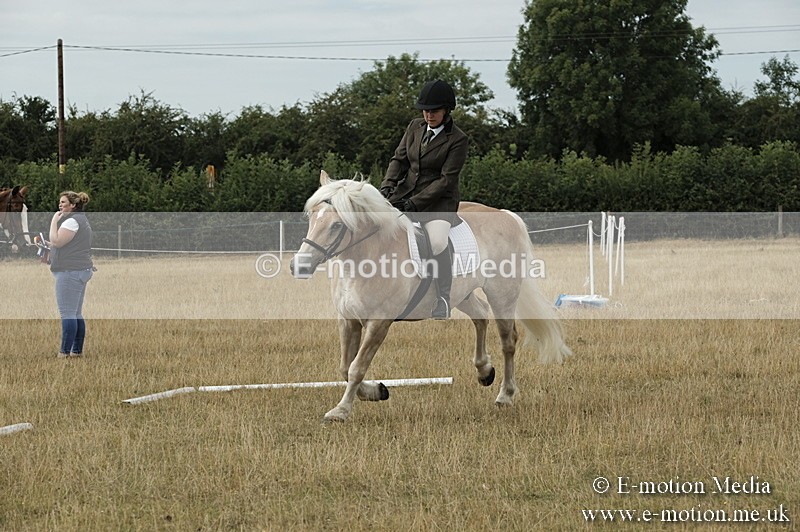 _PJP5747 - Dressage Classes BVRC Show 2018