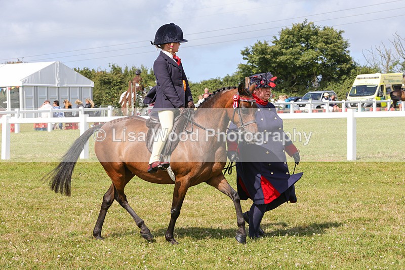 1X9A3704 - Class 29: Lead Rein SP/SHP