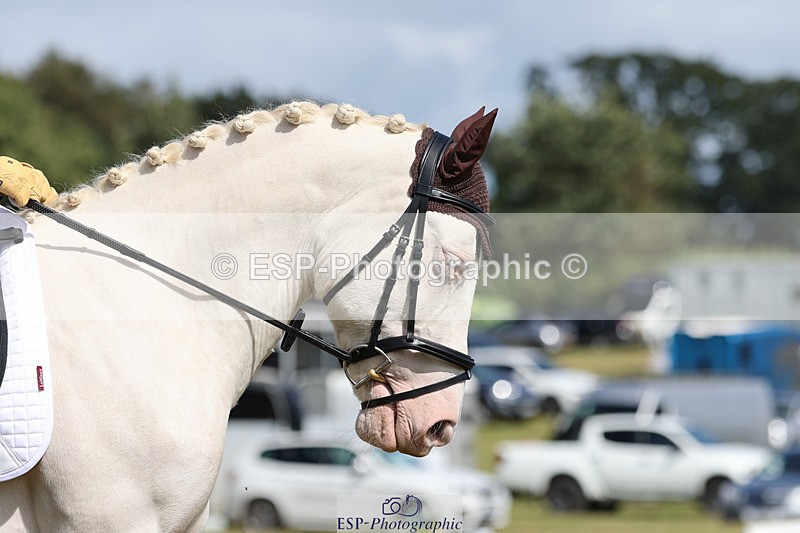 240824X-151345-28903 - D80 Ride off  14.15 to 15.30