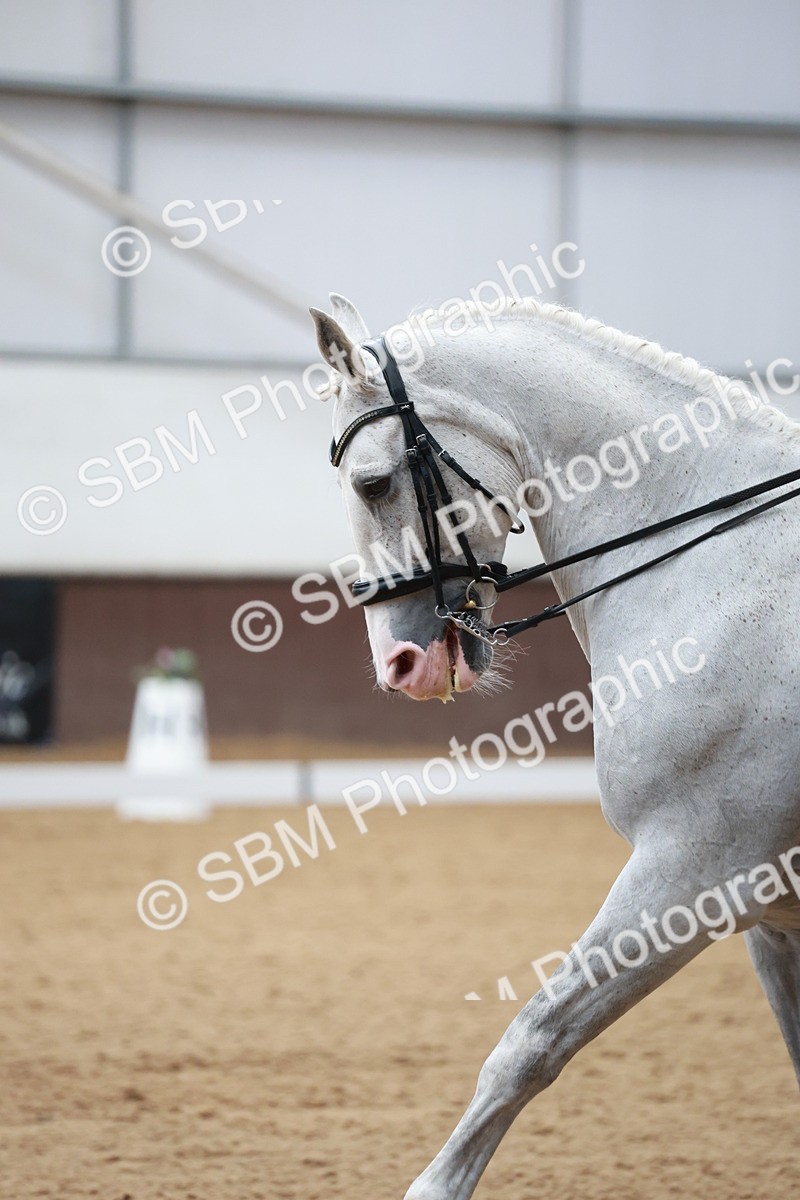 SBM_008624 - Class 14 - FEI PSG - 9.30-10.30