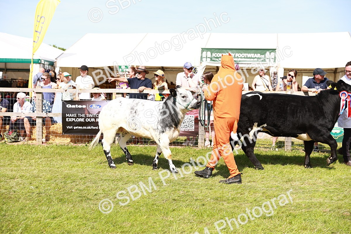 SBM_08340 - Grand Parade