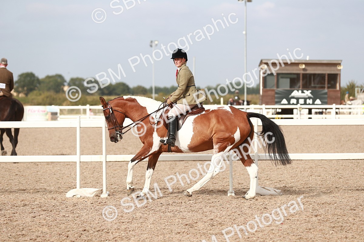 SBM_17536 - Class 215 Ridden Hack/ Riding Horse