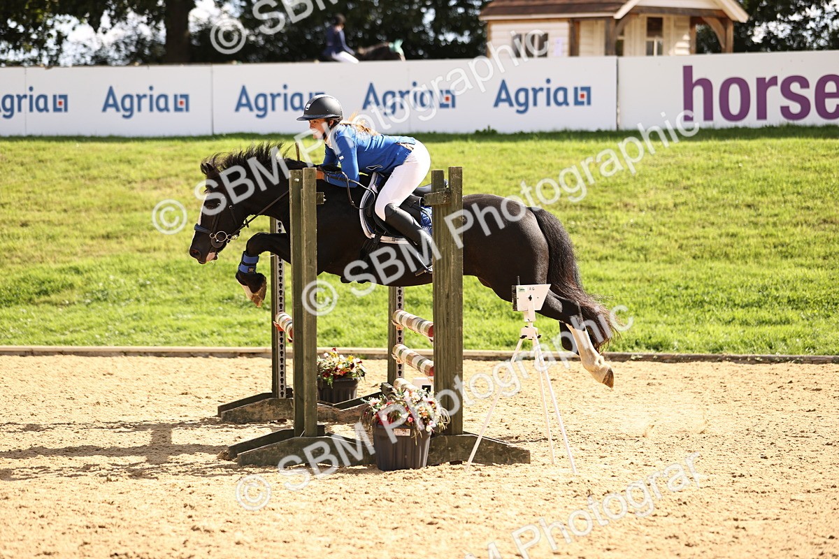 SBM_41030 - Supreme Championship - AM