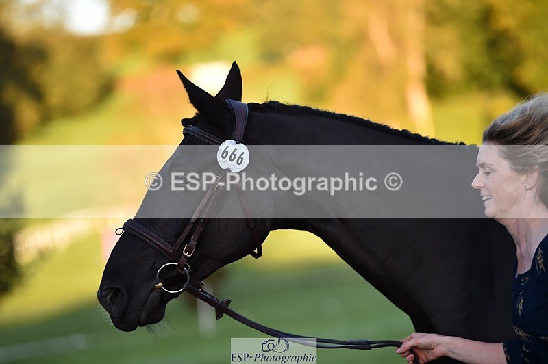 231022-083436-21238 - 666-PENDAN.NEVADA-Hannah.Tweedy-TrotUp+SJ