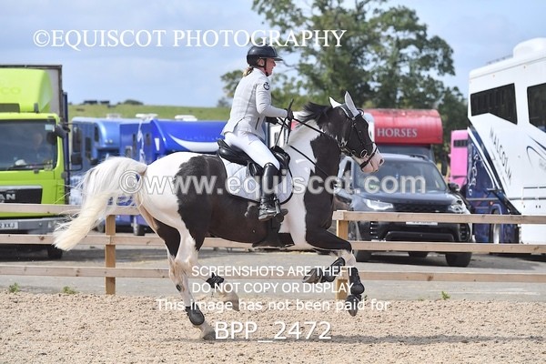 BPP_2472 - DERBY CLASS 7 - 80CM