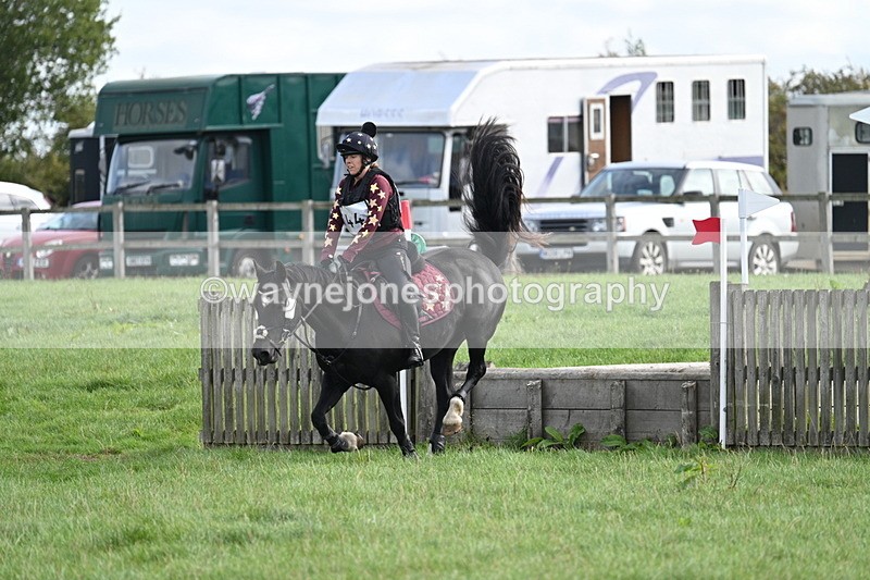 WJ7_8326 - 60cm Pairs