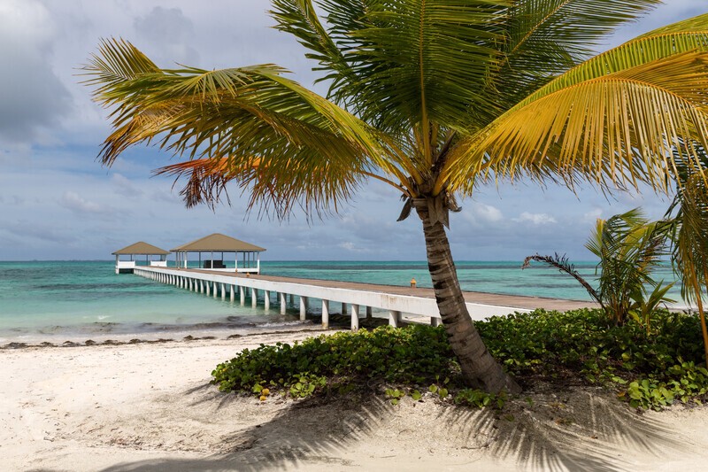 In Paradisum - Latest Images