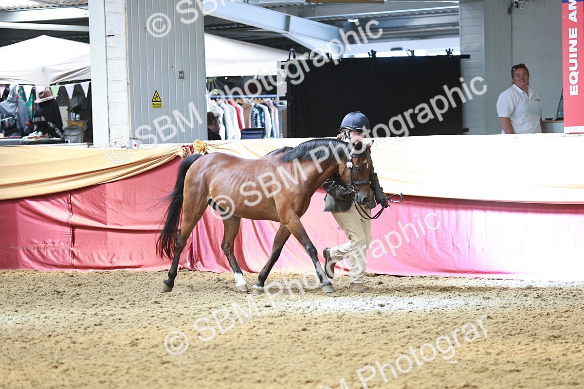 SBM_04760 - Class 7R - Regional IH Diamond