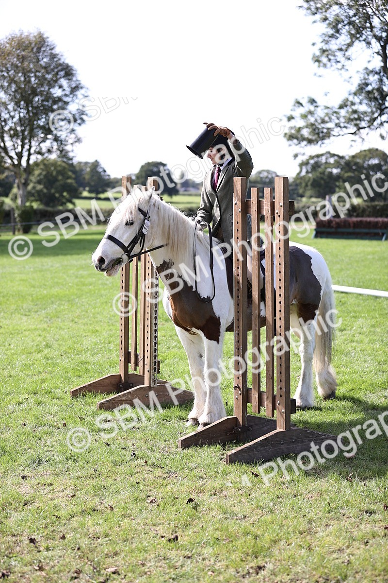SBM_22976 - S4 - Have a Go at Working Equitation