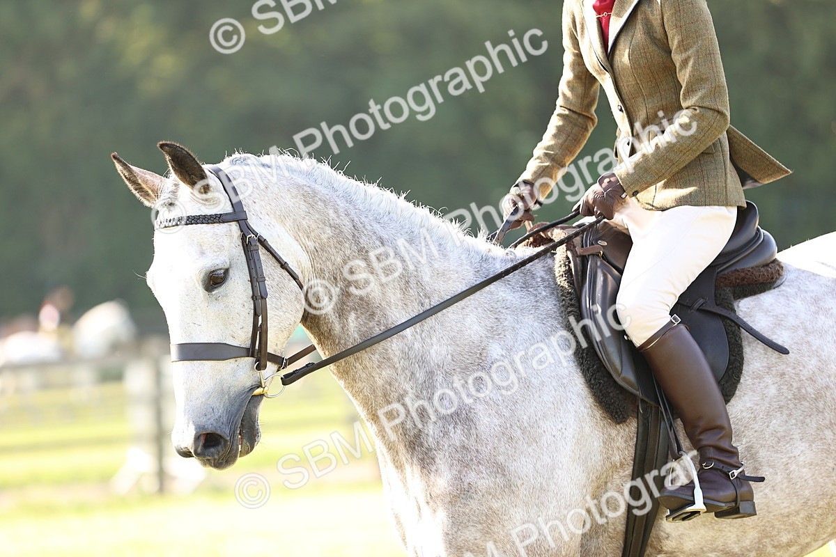 SBM_10698 - Class 73-74 - LIHS BSHA Open Style & Performance