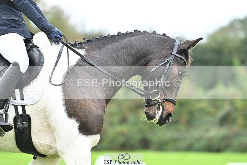 241024-103946-02236 - 307-Ava.Moor-LANGALLER.SUNRISE