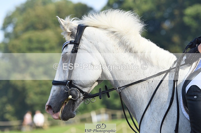 230909-085502-04269 - Cls 15 British Novice & 90cm Open