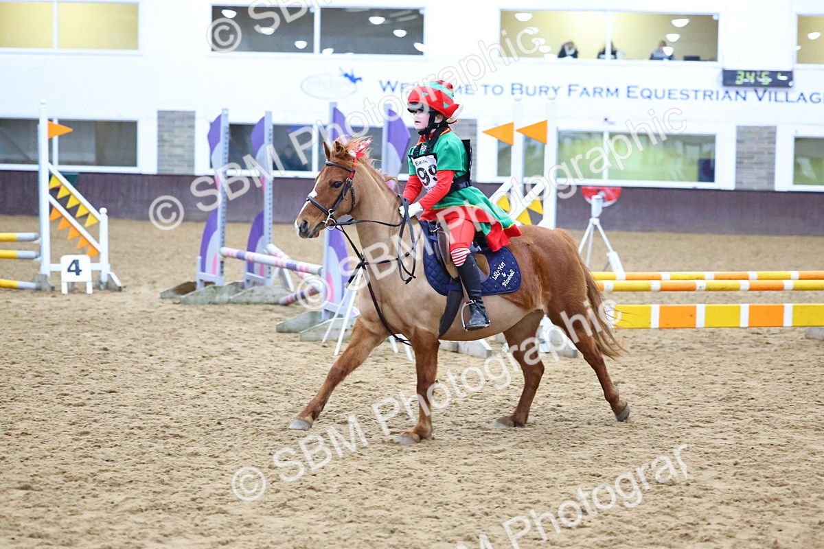 SBM_001453 - Class 3 - Christmas Tree Stakes - 60cm