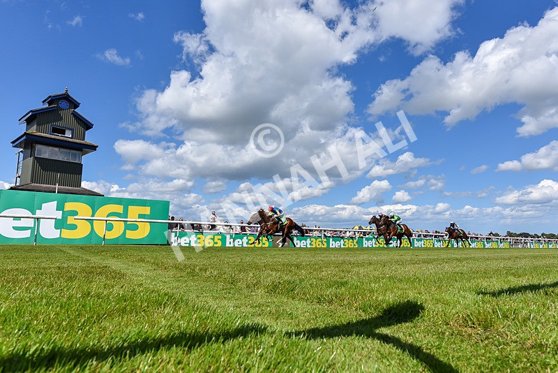 080624-Race 3-Shareholder-8119 - Race 3