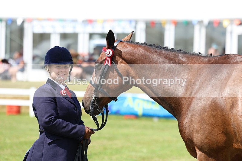 3E7A1129 - Class 8: Open Riding Horse/Hack