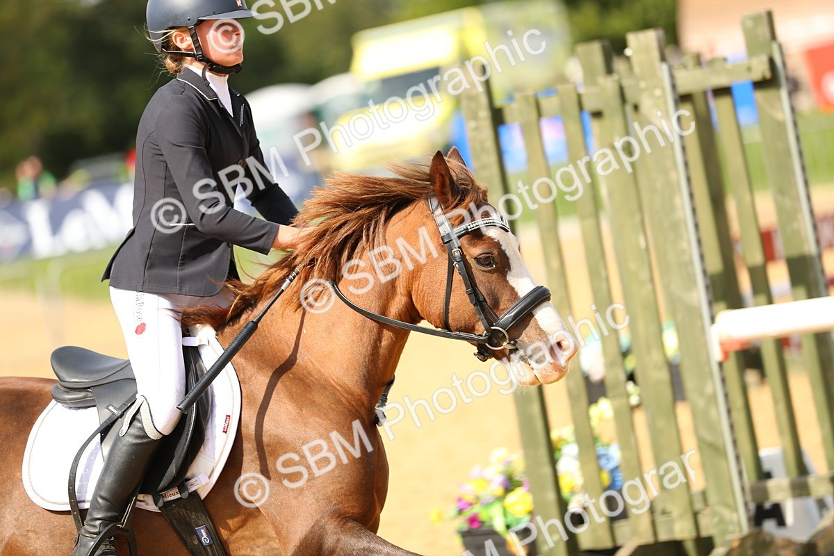 SBM_66100 - J17 - Junior Pony 80cm Championship