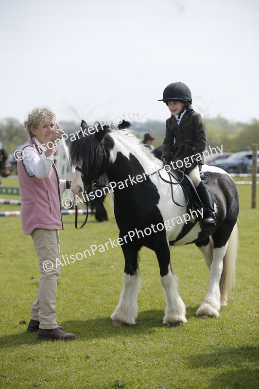 20260426-1883 - Class 7 - Pony Judge Would Most Like To Take Home