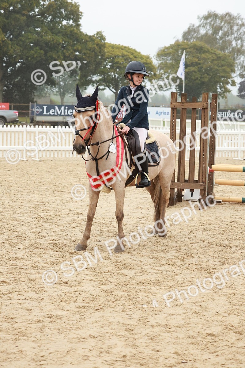 SBM_73503 - Supreme Championship Junior Pony 60cm & 65cm